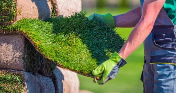 Бухгалтерское обслуживание организаций баннер