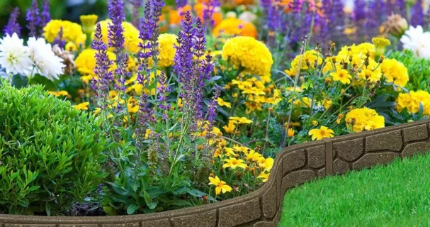 Бухгалтерское обслуживание организаций баннер