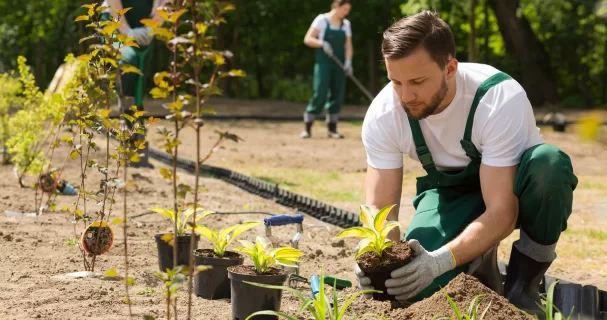 Бухгалтерское обслуживание организаций баннер