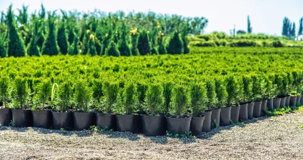 Бухгалтерское обслуживание организаций баннер